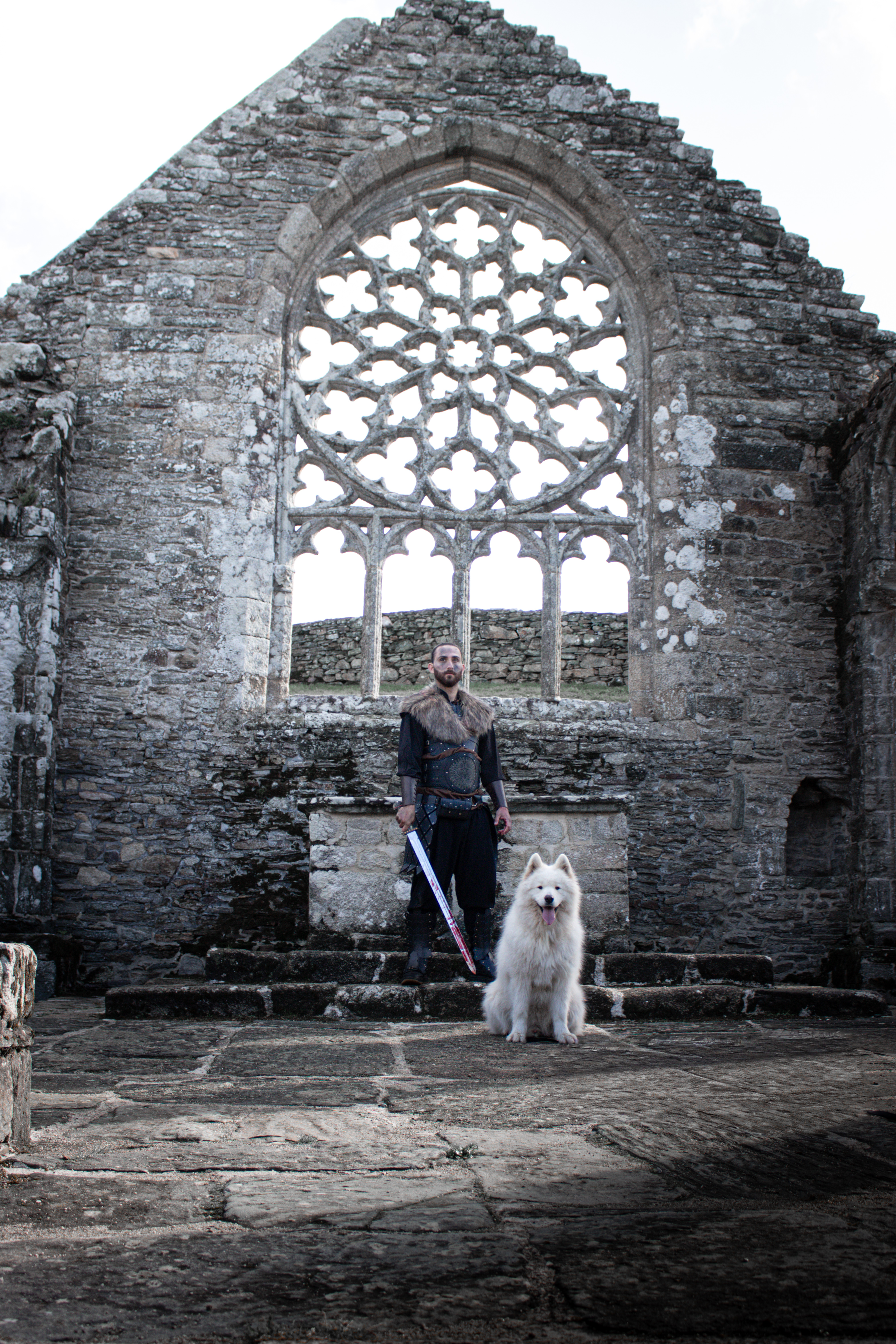 Guerrier viking et loup blanc sous la grande rosace d’une abbaye en ruine